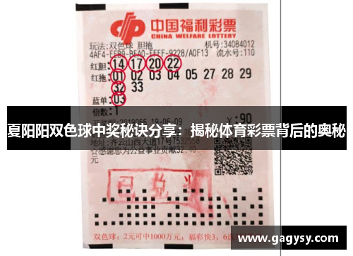 夏阳阳双色球中奖秘诀分享:揭秘体育彩票背后的奥秘 夏阳阳双色球中奖秘诀分享:揭秘体育彩票背后的奥秘